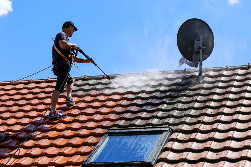 Roof Cleaning Solutions